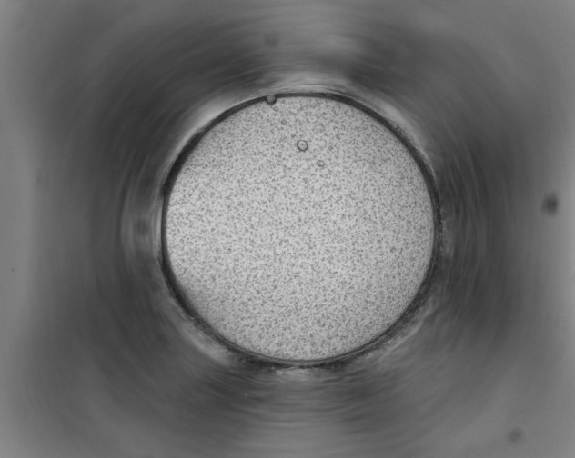 X0000099481227200805301611