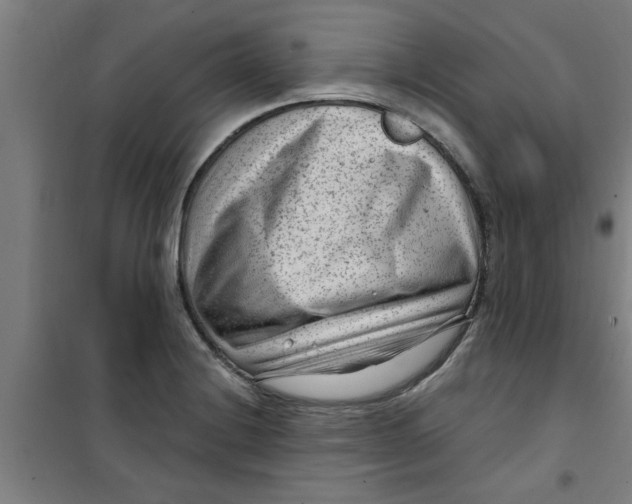 X0000099481228200805301612