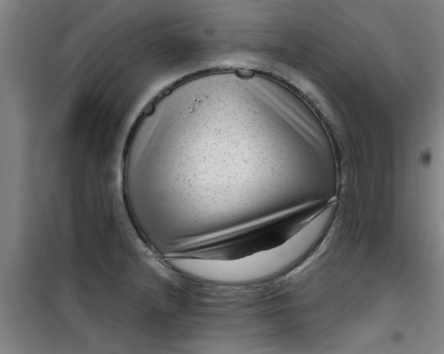 X0000099481232200805301612