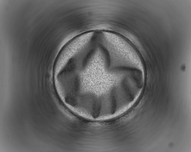 X0000099481234200805301612