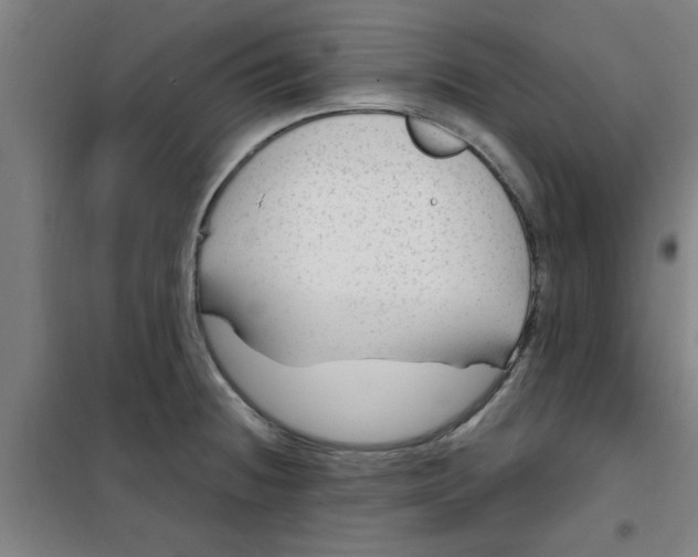 X0000099481236200805301612