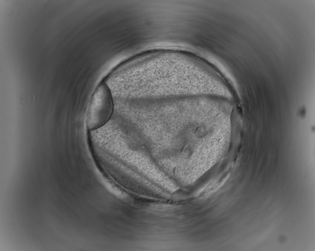X0000099481237200805301612