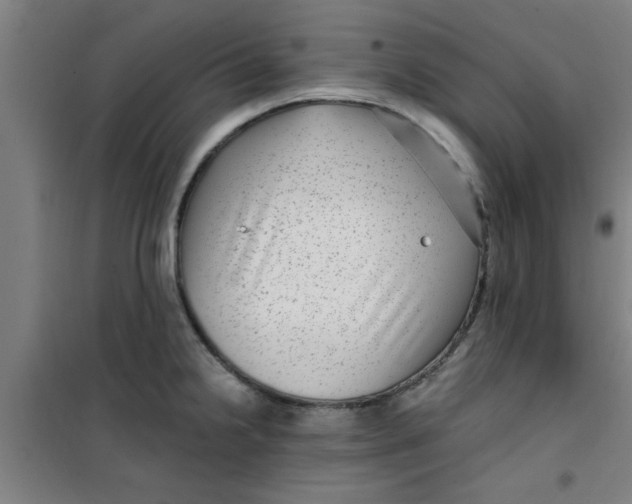 X0000099481238200805301612