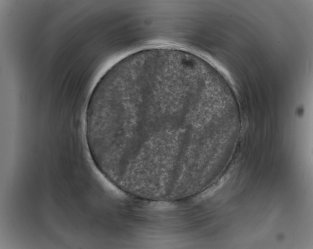 X0000099481239200805301612