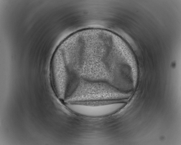 X0000099481240200805301612