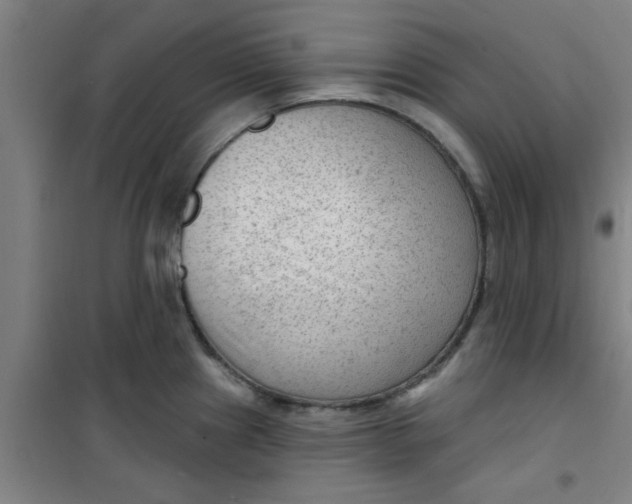 X0000099481241200805301612