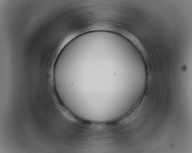 X0000099481242200805301612