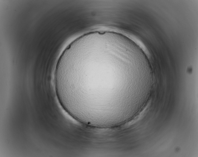 X0000099481247200805301612