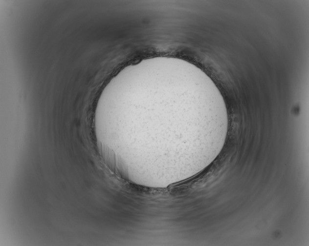 X0000099481249200805301611