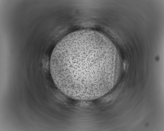 X0000099481251200805301611