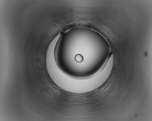 X0000099481252200805301611