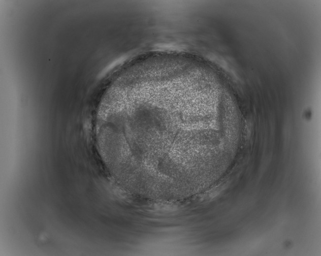 X0000099481254200805301611