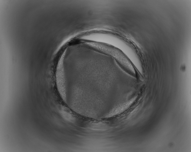 X0000099481256200805301611