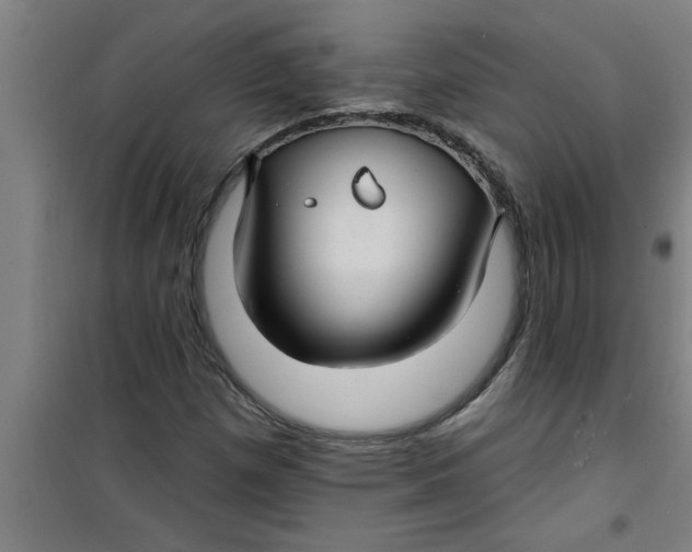 X0000099481257200805301611
