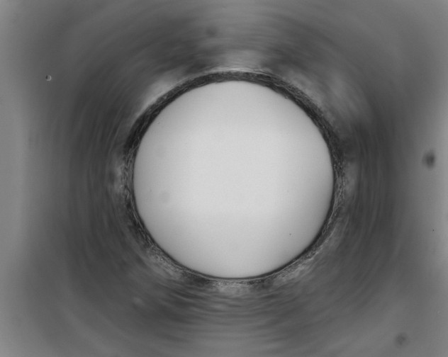 X0000099481258200805301611