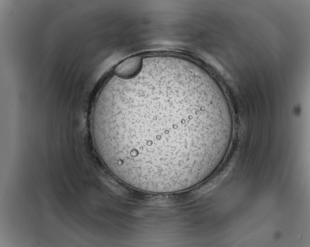 X0000099481259200805301611