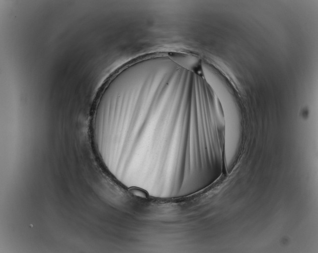 X0000099481260200805301611
