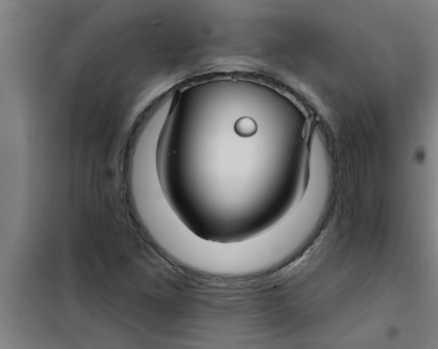 X0000099481261200805301611
