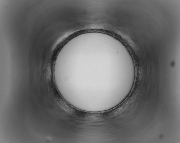 X0000099481262200805301611