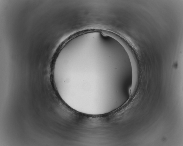 X0000099481264200805301611