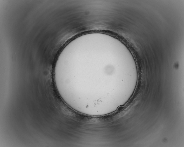 X0000099481265200805301611