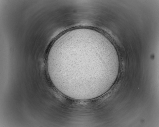 X0000099481266200805301611