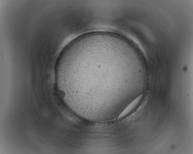 X0000099481267200805301611