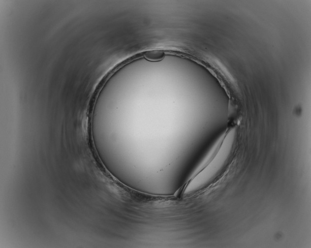X0000099481268200805301611