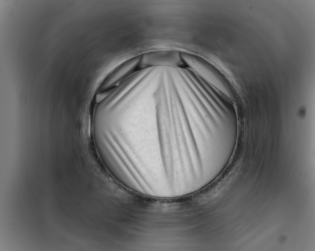 X0000099481269200805301611