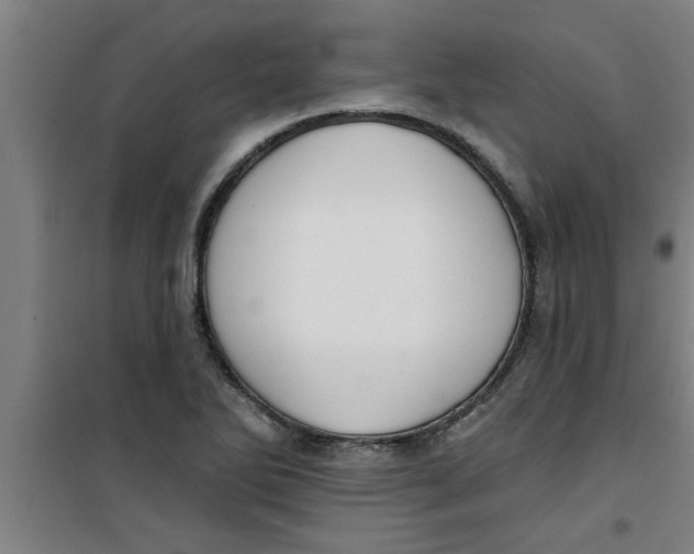 X0000099481270200805301611