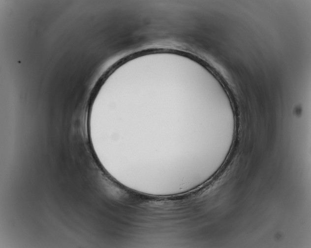 X0000099481272200805301611