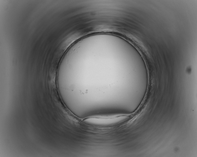 X0000099481273200805301611
