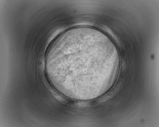 X0000099481274200805301611