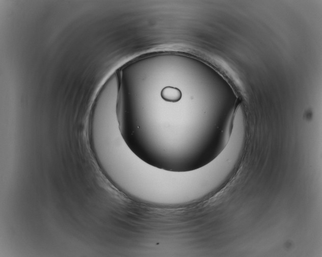 X0000099481276200805301611