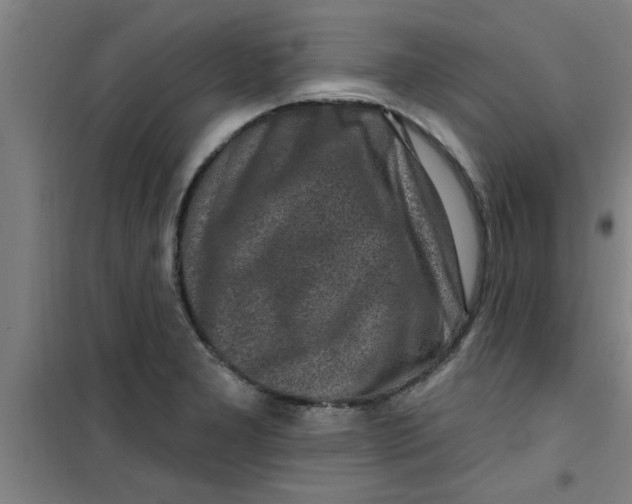 X0000099481277200805301611