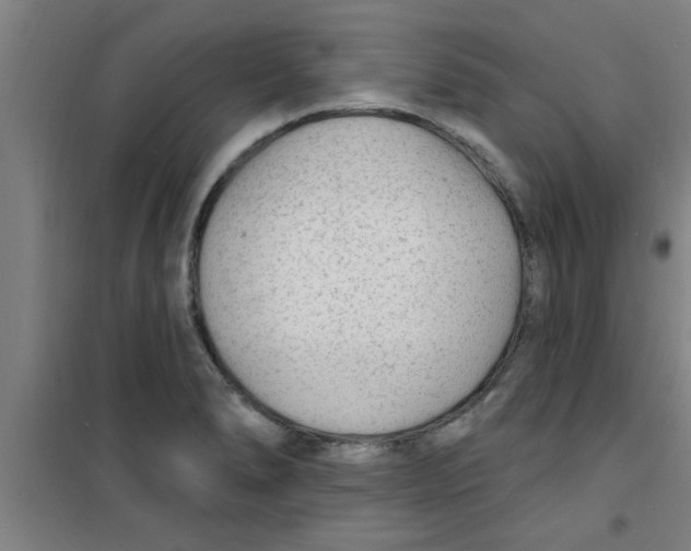X0000099481278200805301611