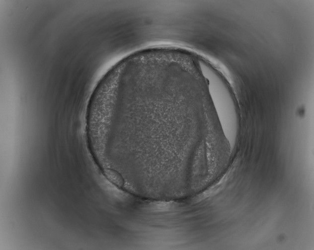 X0000099481279200805301611