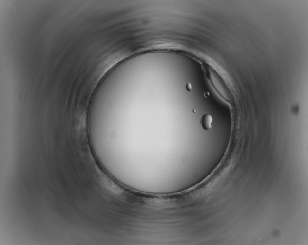X0000099481281200805301611