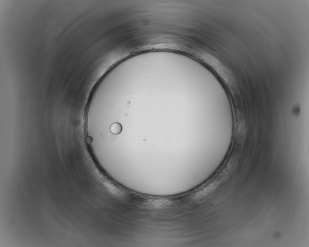 X0000099481282200805301611