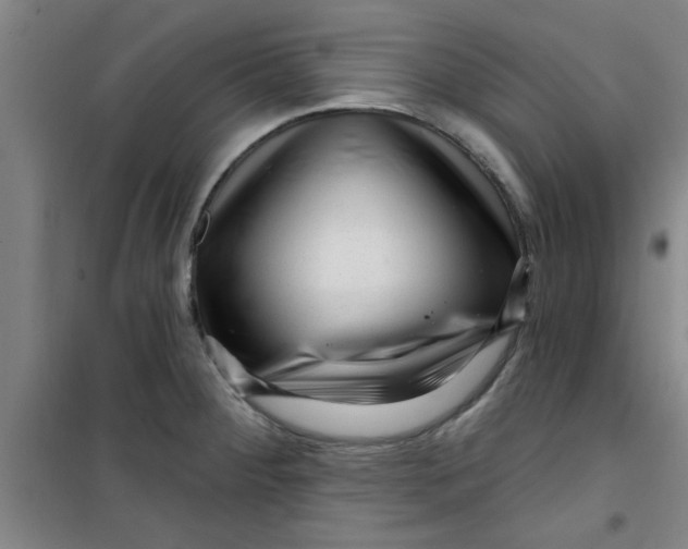 X0000099481284200805301611