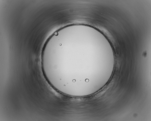X0000099481286200805301611
