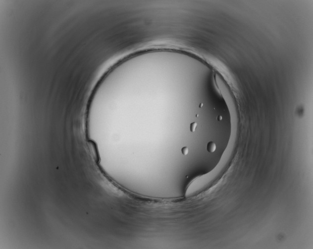 X0000099481288200805301611