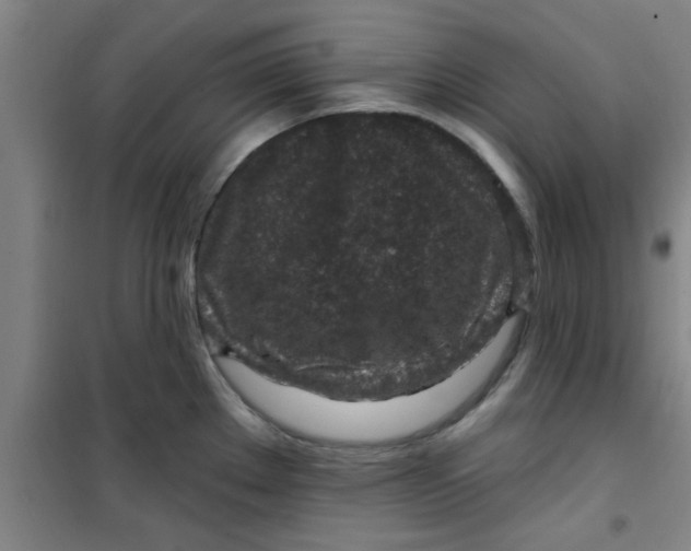 X0000099481289200805301611