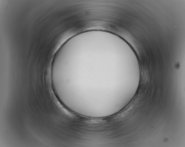 X0000099481290200805301611