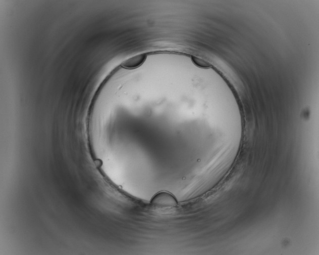X0000099481291200805301611