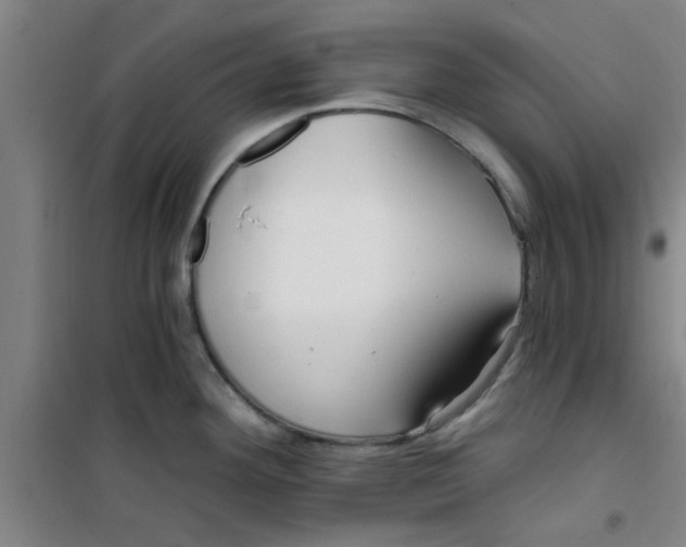 X0000099481292200805301611