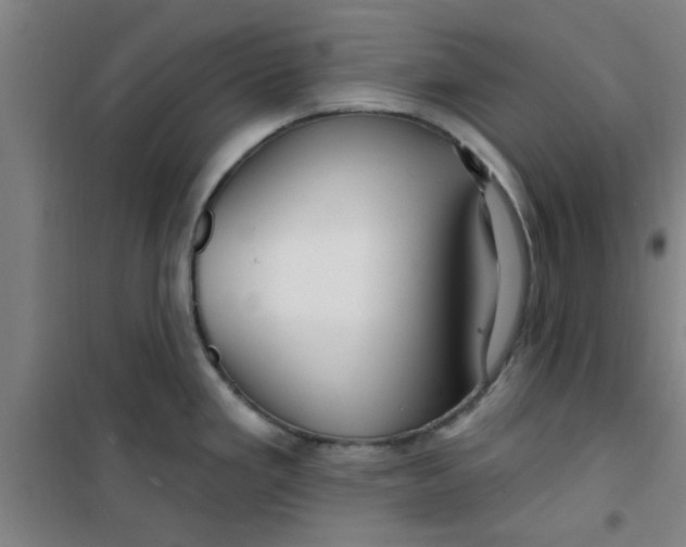 X0000099481293200805301611
