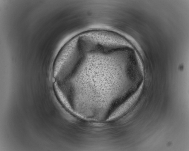 X0000099481295200805301610