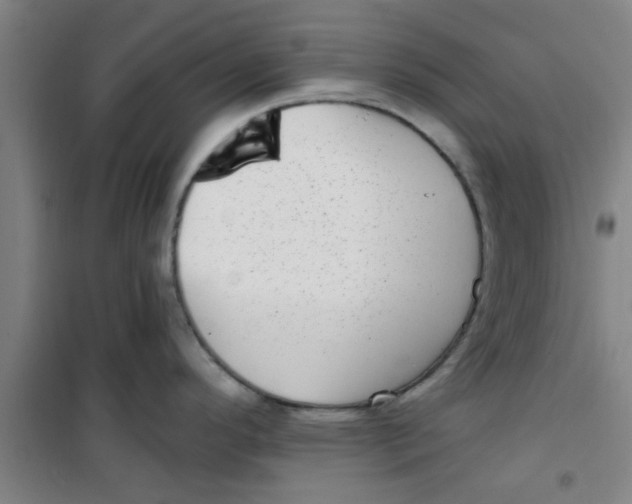 X0000099481296200805301610