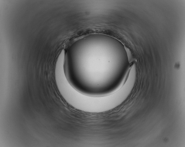 X0000099481298200805301610